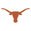 Texas Longhorns