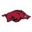 Razorbacks