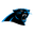 Panthers